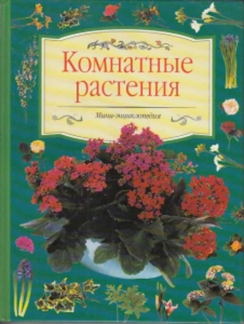 Комнатные Растения Энциклопедия Фото