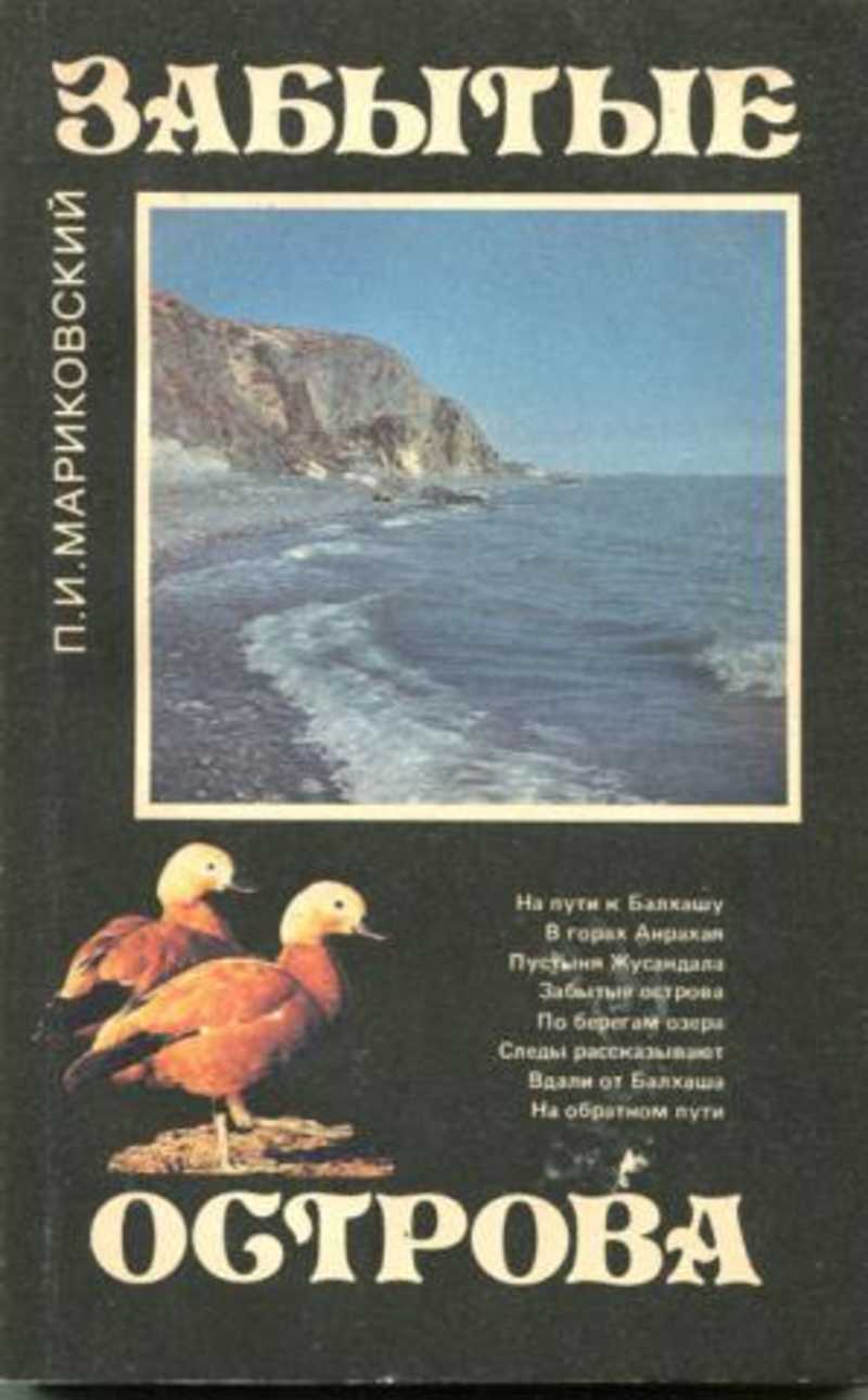 Забытый остров. Книга забытый остров. Забытые острова. Книга необитаемый остров лучшее издание. Писатель про остров русский.