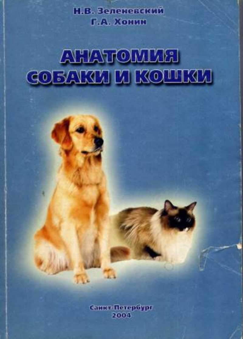 Анатомия и физиология зеленевский. Книга анатомия собаки Зеленевский. Анатомия собаки Зеленевский 2015. Н. В. Зеленевский. Анатомия собаки.. Анатомия собак и кошек.