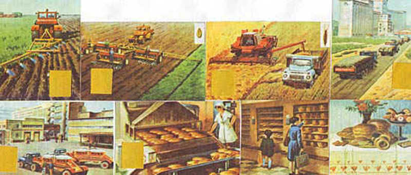 Откуда хлеб пришел подготовительная. Сельскохозяйственные профессии для дошкольников. Сельское хозяйство подготовительная группа. Картина для дошкольников сельскохозяйственные работы. Как выращивают хлеб.