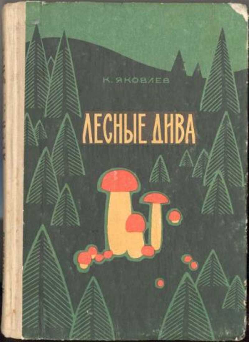 Лесные дива. Грибной календарь