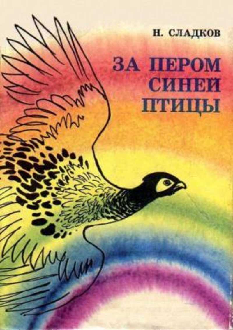 За пером синей птицы
