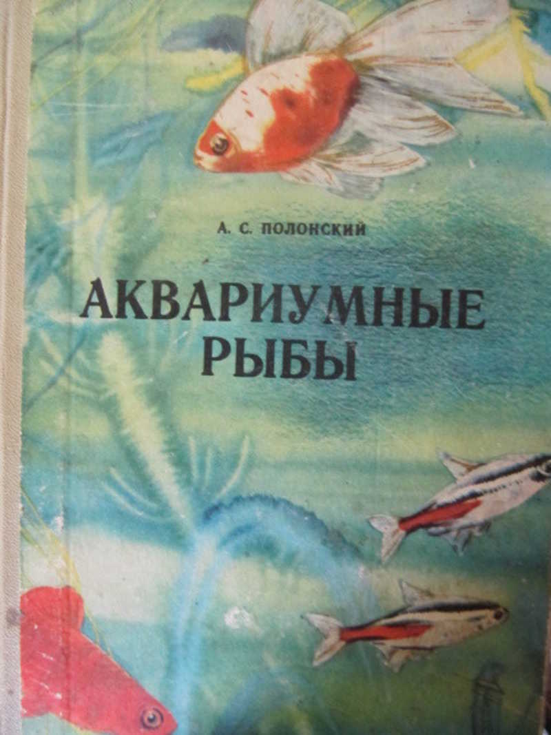Аквариумные рыбки