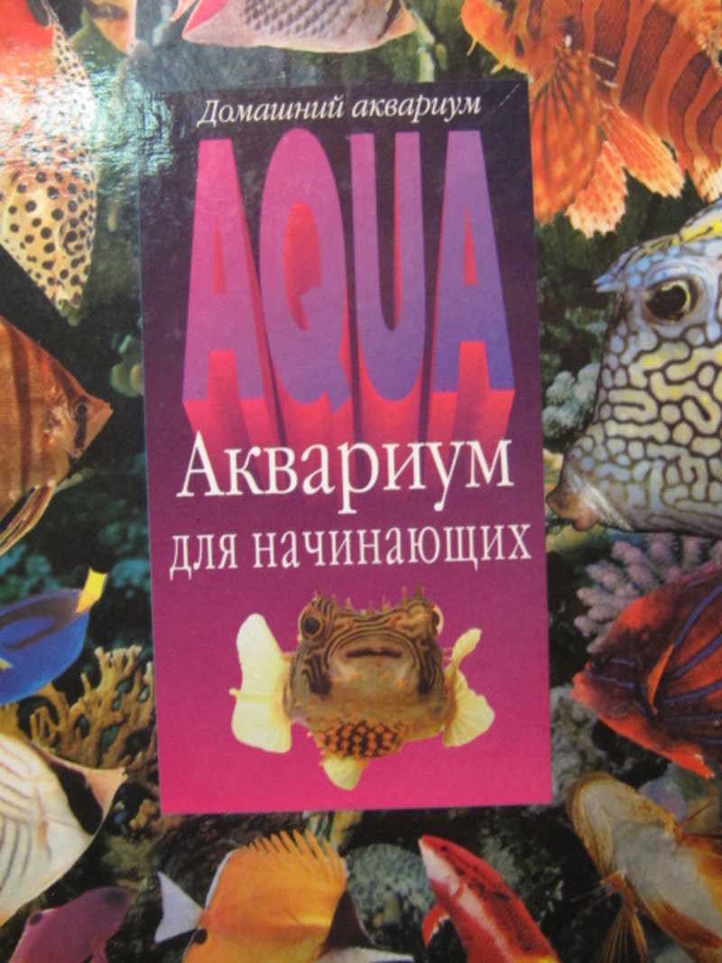 Аквариум для начинающих