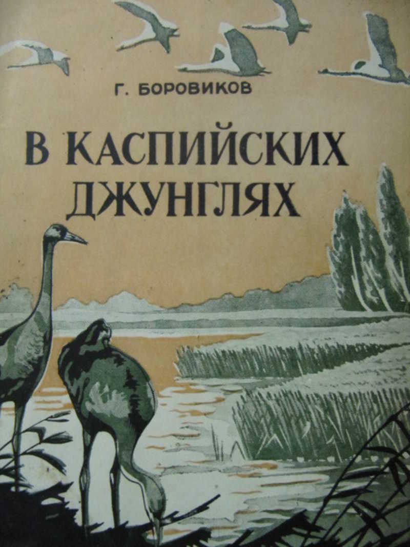 В Каспийских джунглях