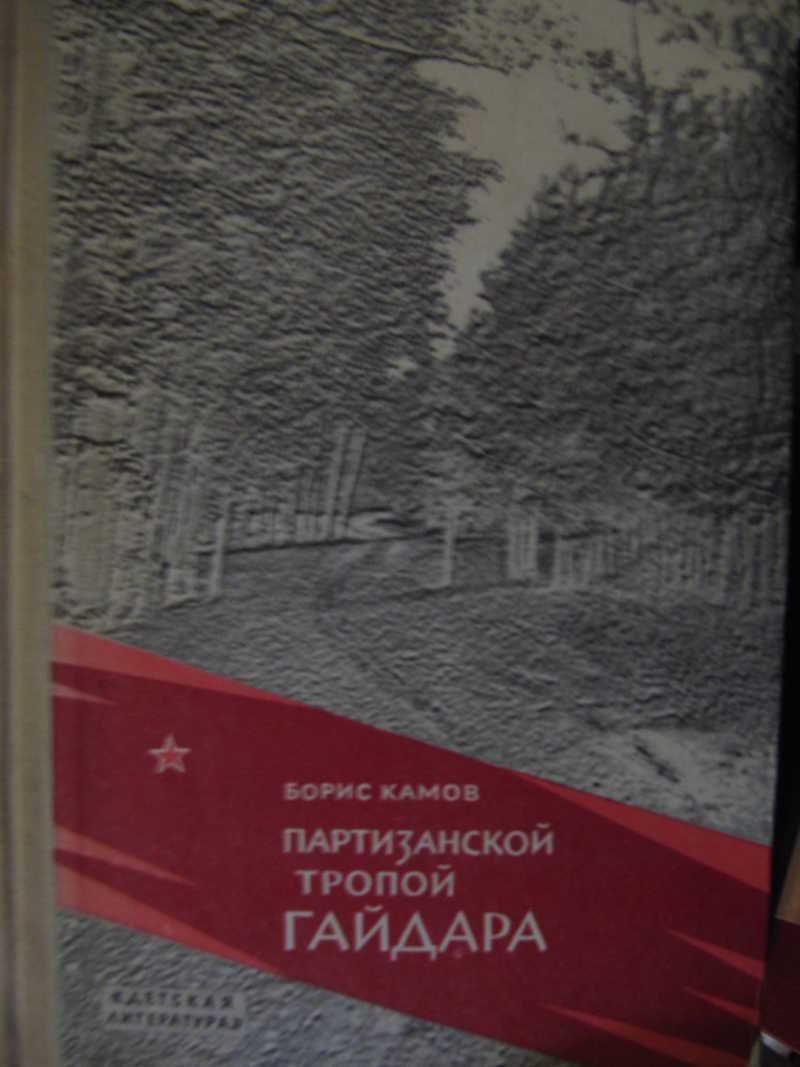Партизанской тропой Гайдара