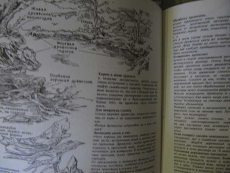 Миллион приключений