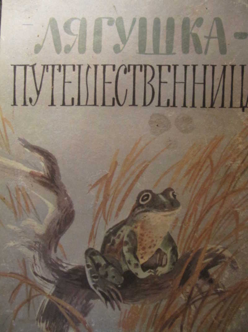 Чем плавунчики понравились сыну рассказчика впр. Плавунчик Бианки. Книга Бианки плавунчик. Рассказ в Бианки плавунчик.