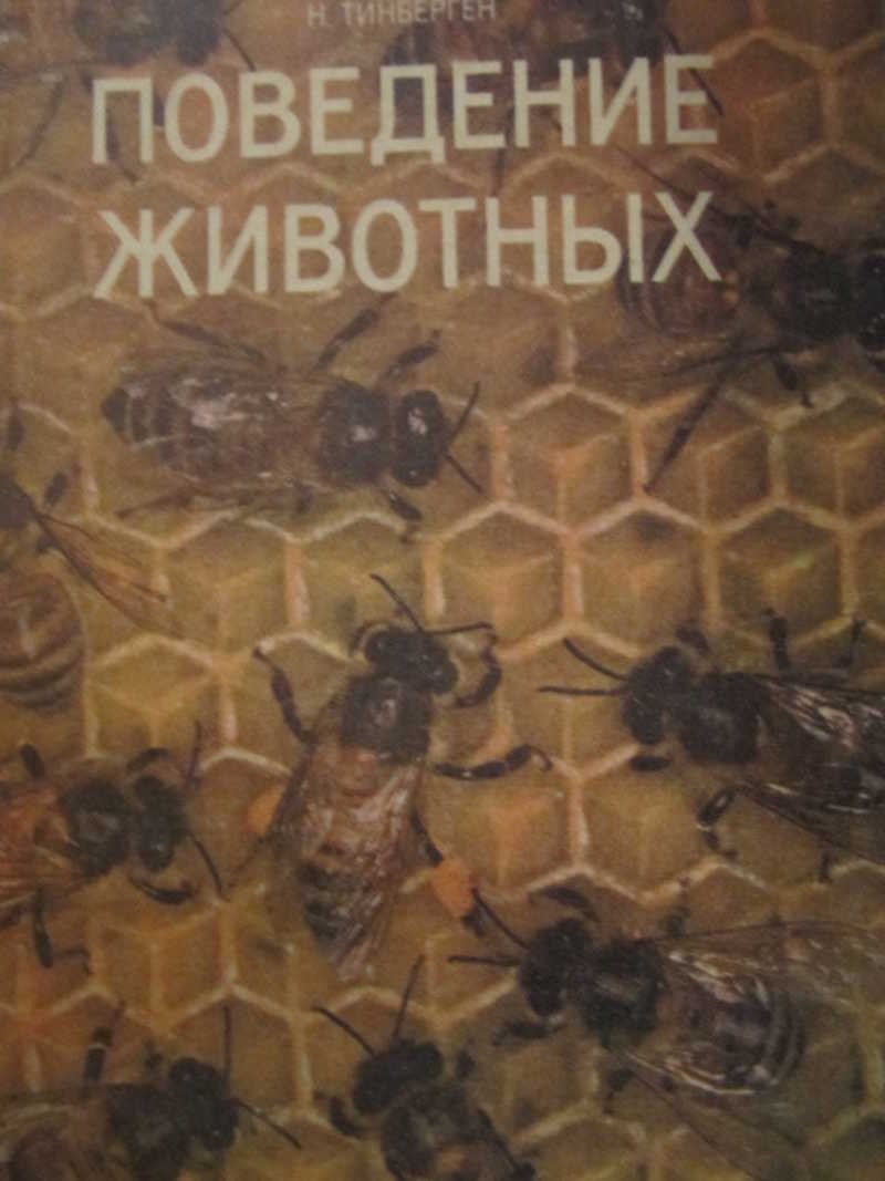 Поведение животных