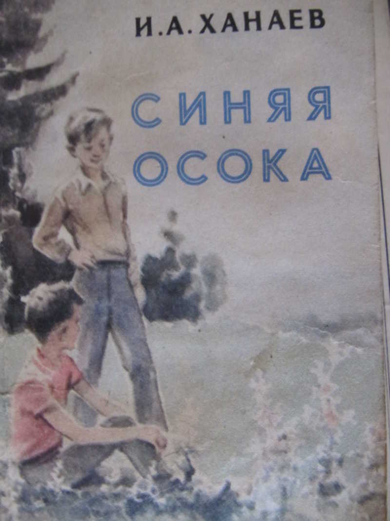 Синяя осока