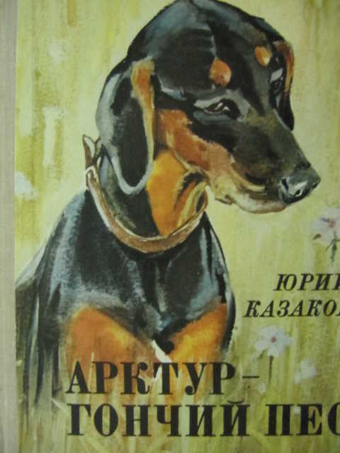 Картинки арктур гончий пес