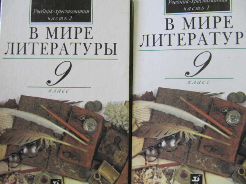 В мире литературы. 9 класс. В 2 частях