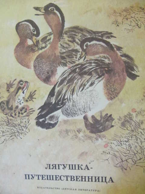Лягушка путешественница читательский дневник 1 класс. М. Дневник читателя лягушка путешественница. Лягушка путешественицакраткий пересказ. Дневник внеклассного чтения лягушка путешественница.