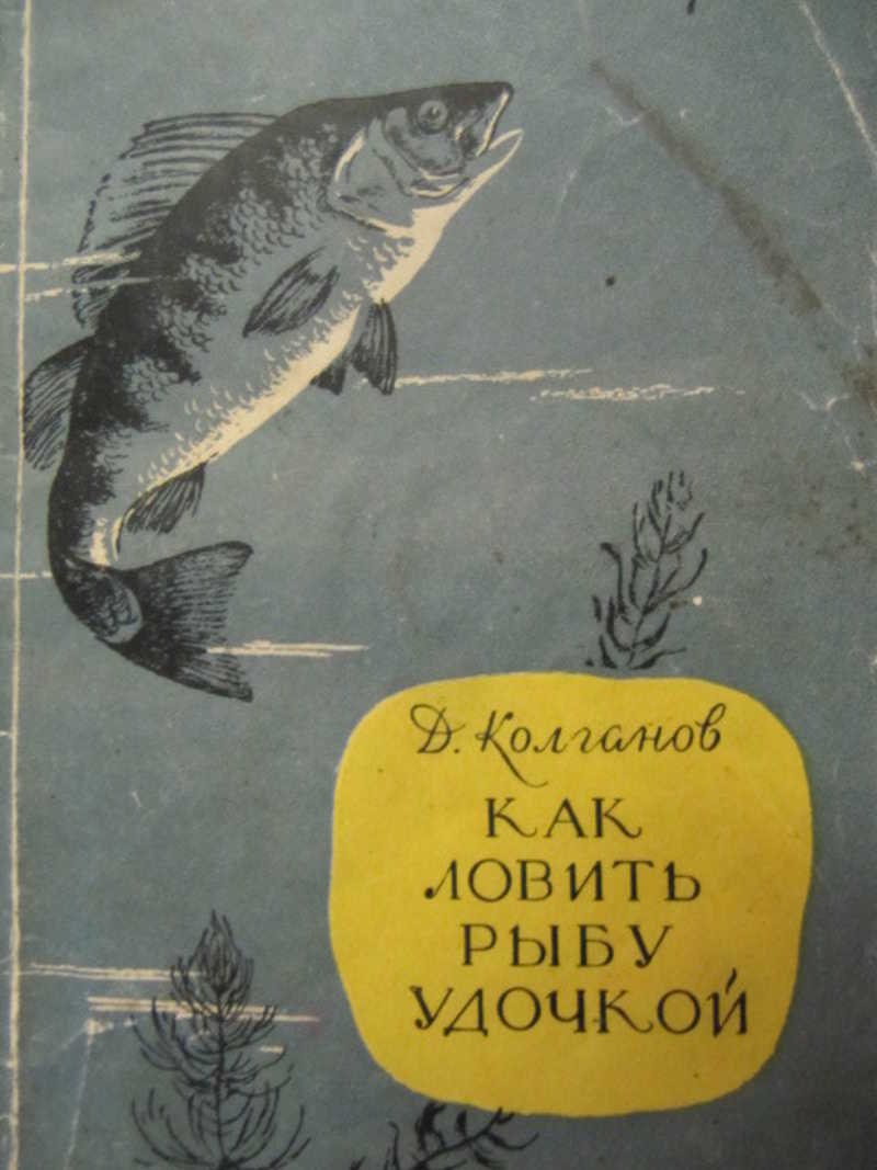 Как ловить рыбу удочкой