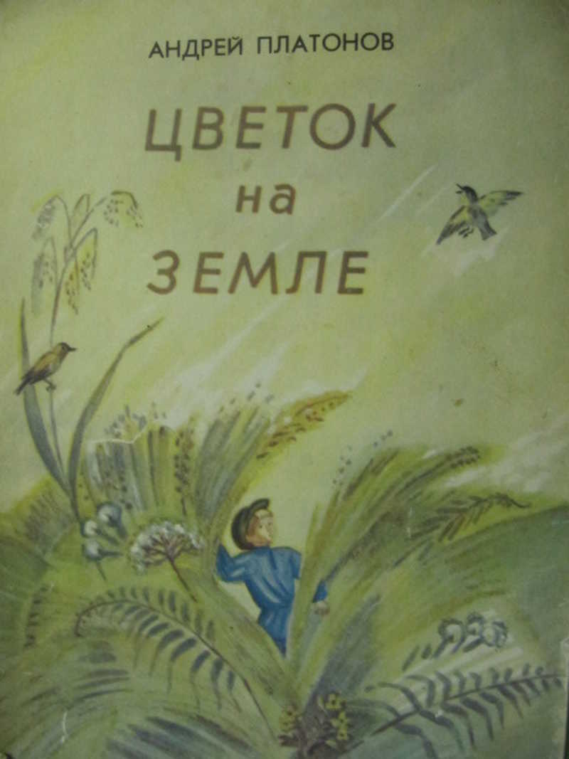 А платонов цветок на земле нарисовать цветок