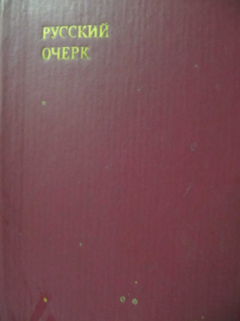 Русские очерки. Русский очерк 40-50-е годы XIX века м изд МГУ 1986. Русский очерк 1986 книга.купить.