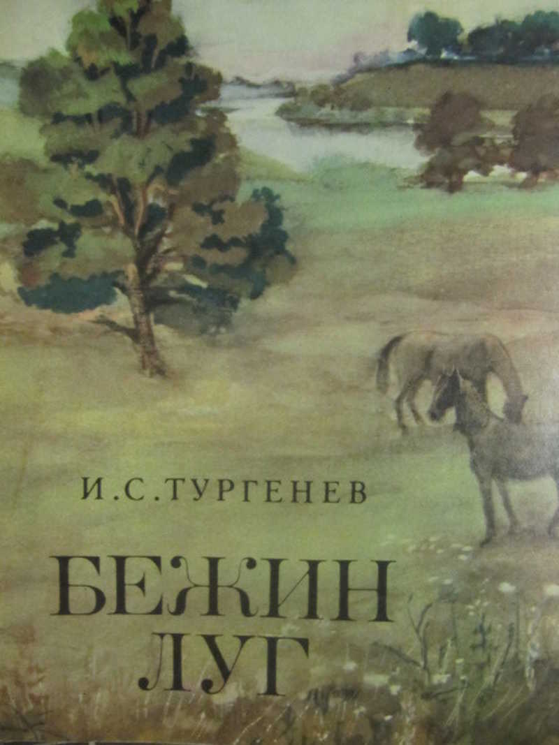 Книга: Бежин луг Купить за 60.00 руб.