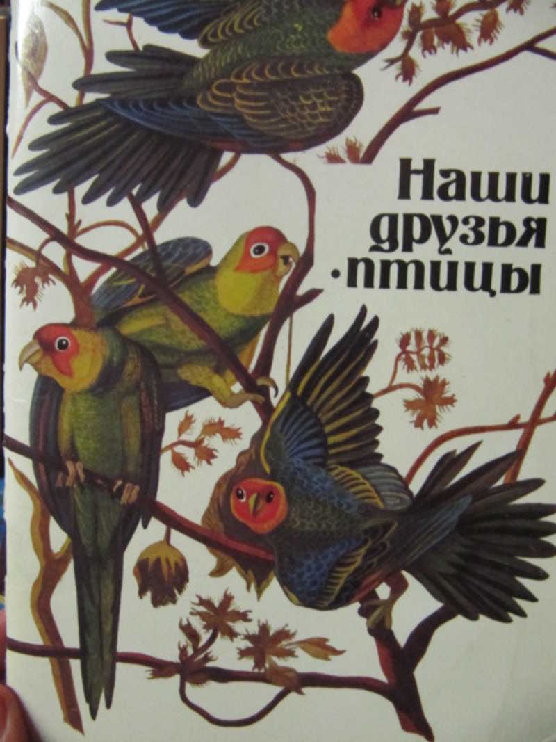 Наши друзья — птицы. Уход за декоративными и певчими птицам