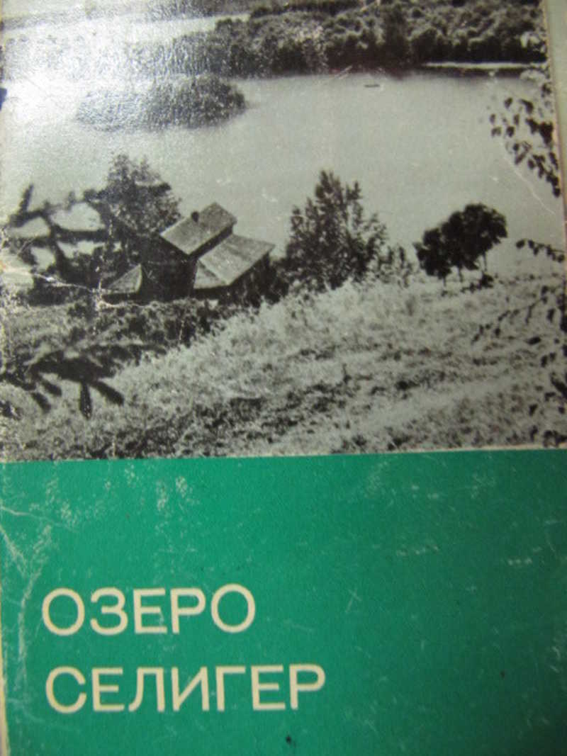 Книга про озеро. Книга озеро. Военная книга озеро. Черное озеро книга советских времен. Дом на Озерной книга.