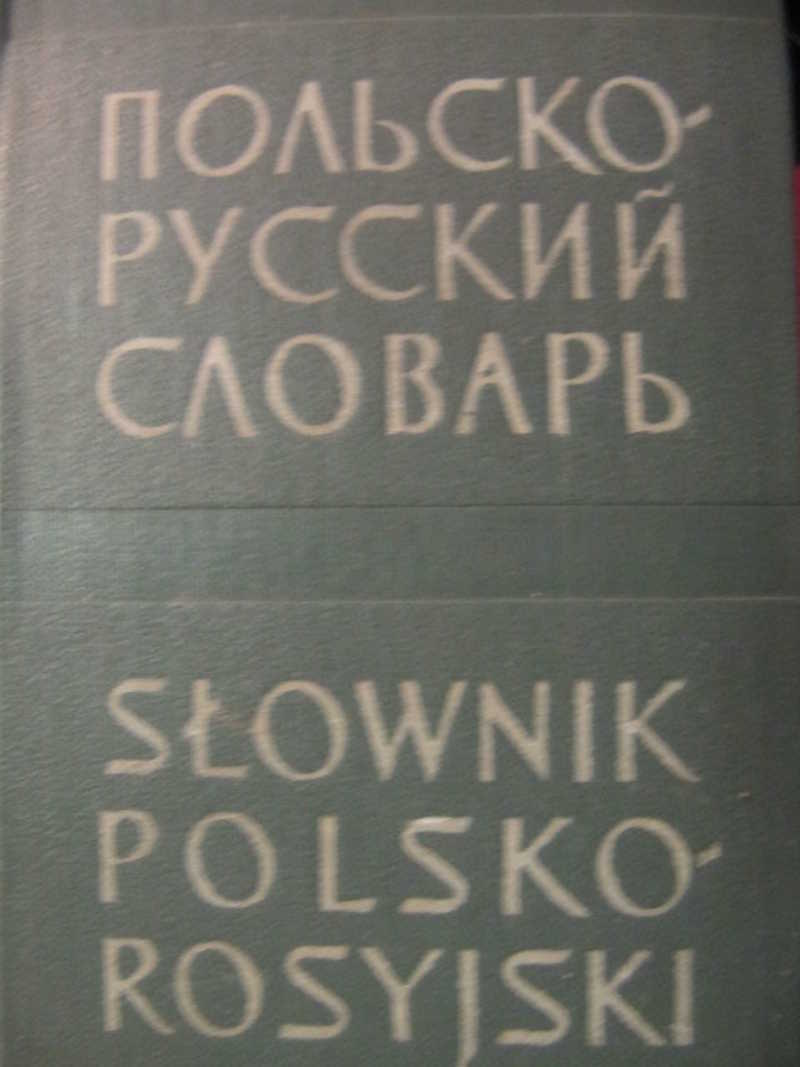 Русско польские песни. Польско-русский словарь. Русско польский польско русский карманный словарь. Словарь польско русский картинки. Ангел русский словарь.