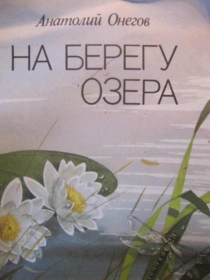 На берегу озера