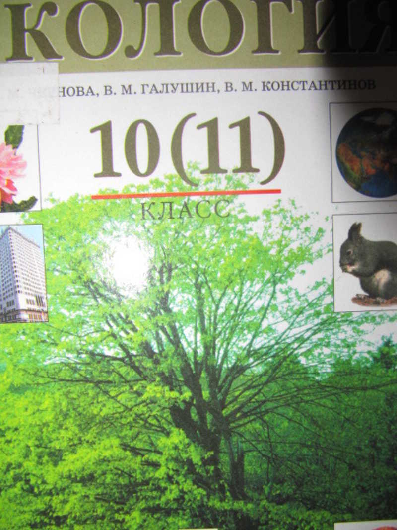 Проект по экологии 10 11 класс