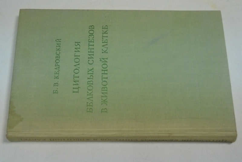 Цитология белковых синтезов в животной клетке