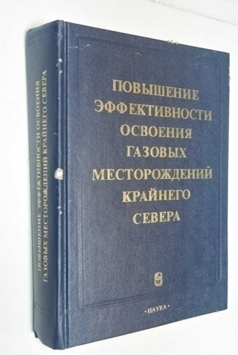 Повышение эффективности освоения газовых месторождений Крайнего Севера