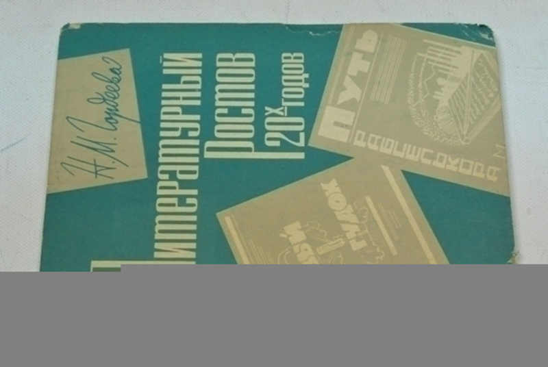 Литературный Ростов 20-х годов