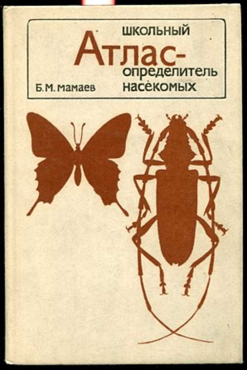 Определитель рисунка. Мамаев школьный атлас определитель насекомых. Мамаев Борис Михайлович школьный атлас-определитель насекомых. Мамаев б. м. школьный атлас - определитель насекомых.. Определитель насекомых по личинкам Мамаев б.м.