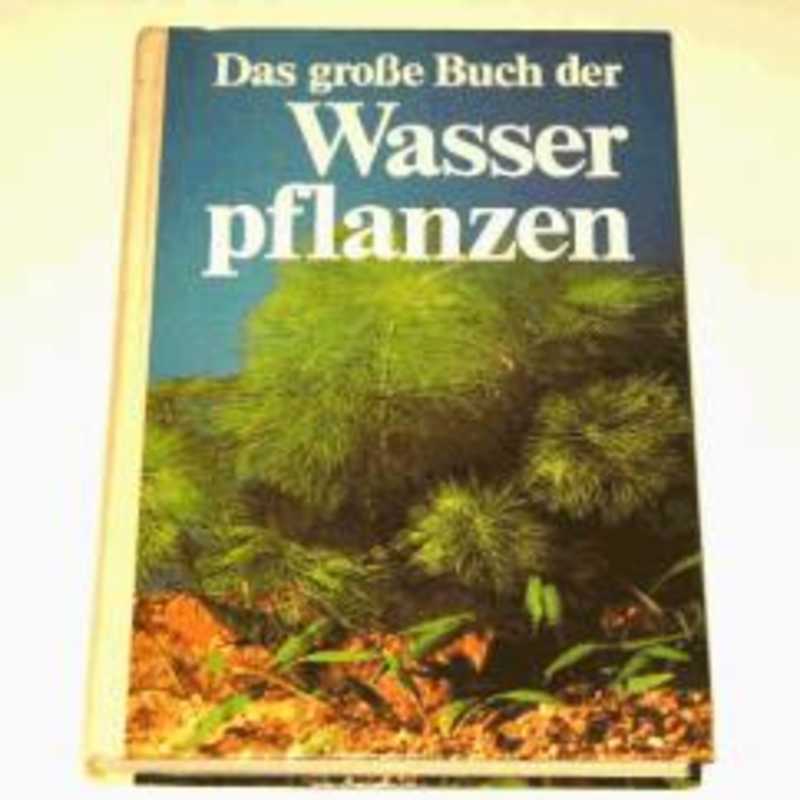 Das grosse. Grosses Buch der Lerntechniken.