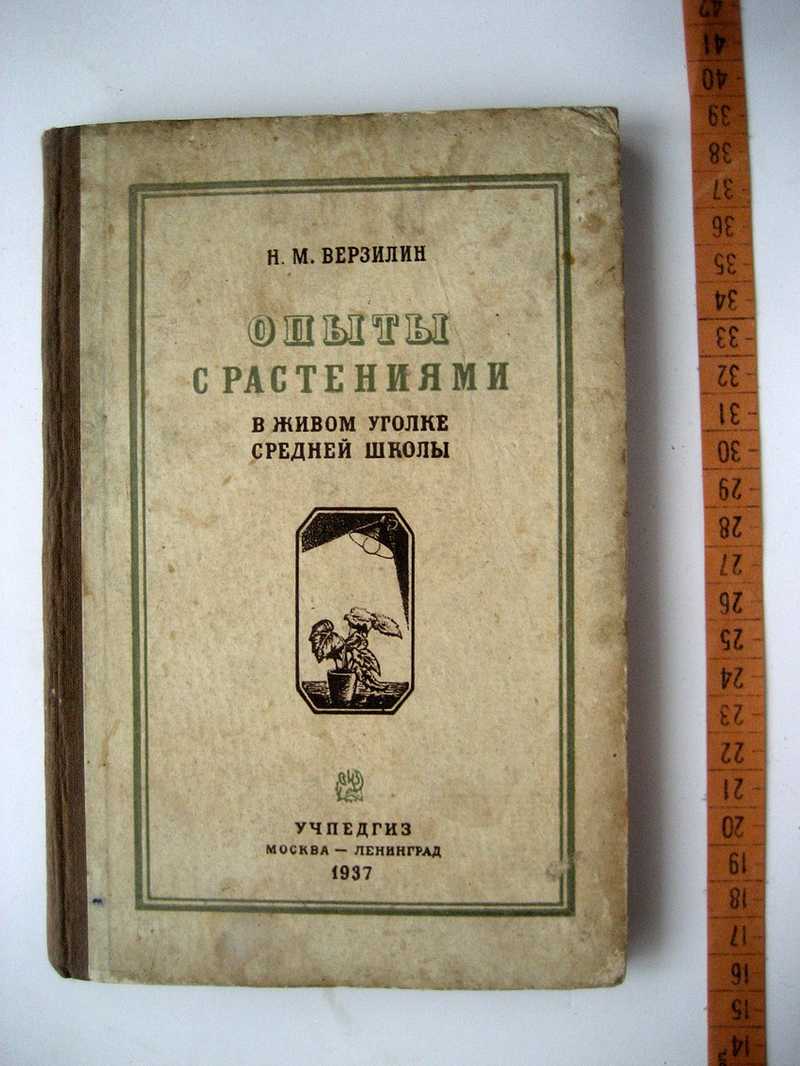 Знакомство С Рассказами Верзилина В Школе