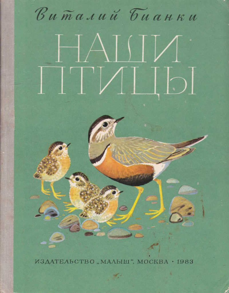 Птичка рассказала
